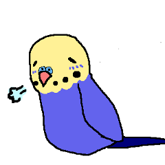 Mr. office worker budgerigar