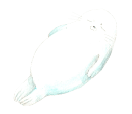 Happy life of penguins and seals sticker #6118788