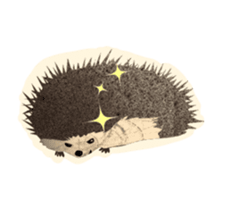 SUMI ANIMALS sticker #6122045