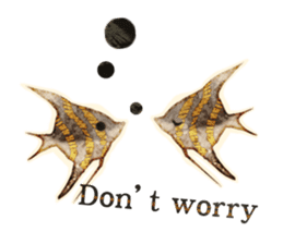 SUMI ANIMALS sticker #6122047