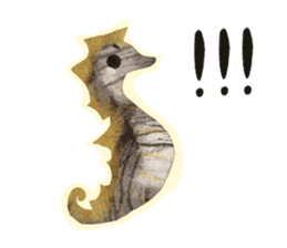 SUMI ANIMALS sticker #6122053