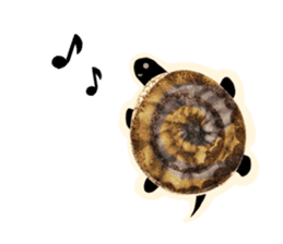 SUMI ANIMALS sticker #6122063