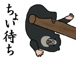 Malayan sun bear, Masao. sticker #6122414