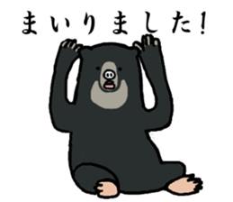 Malayan sun bear, Masao. sticker #6122422