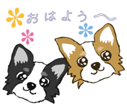 I LOVE CHIHUAHUA !! sticker #6122672