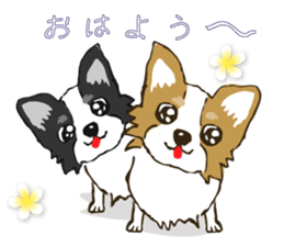 I LOVE CHIHUAHUA !! sticker #6122673