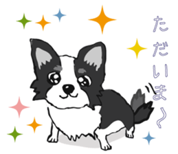 I LOVE CHIHUAHUA !! sticker #6122674