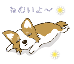 I LOVE CHIHUAHUA !! sticker #6122675