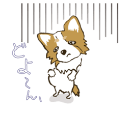 I LOVE CHIHUAHUA !! sticker #6122677