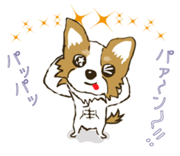 I LOVE CHIHUAHUA !! sticker #6122678