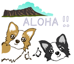 I LOVE CHIHUAHUA !! sticker #6122679