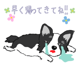 I LOVE CHIHUAHUA !! sticker #6122680