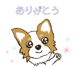 I LOVE CHIHUAHUA !! sticker #6122681