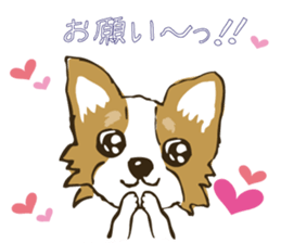 I LOVE CHIHUAHUA !! sticker #6122684