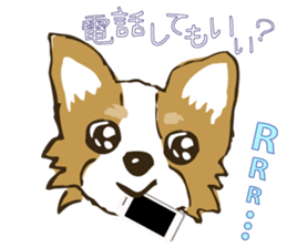 I LOVE CHIHUAHUA !! sticker #6122689