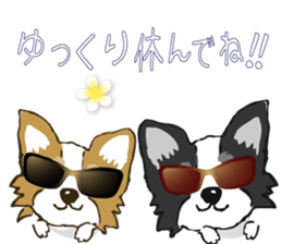 I LOVE CHIHUAHUA !! sticker #6122693