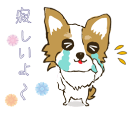 I LOVE CHIHUAHUA !! sticker #6122694