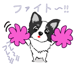 I LOVE CHIHUAHUA !! sticker #6122695