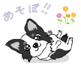 I LOVE CHIHUAHUA !! sticker #6122700