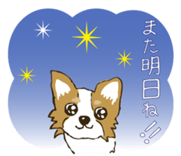 I LOVE CHIHUAHUA !! sticker #6122701