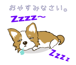 I LOVE CHIHUAHUA !! sticker #6122702