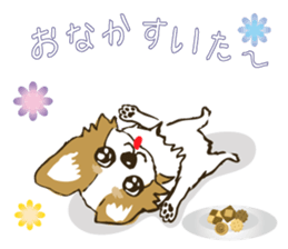 I LOVE CHIHUAHUA !! sticker #6122704