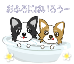 I LOVE CHIHUAHUA !! sticker #6122706