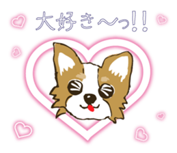 I LOVE CHIHUAHUA !! sticker #6122707