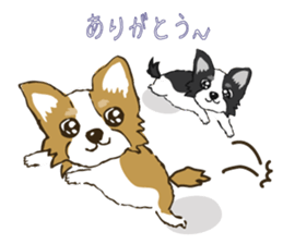 I LOVE CHIHUAHUA !! sticker #6122709