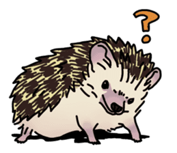 Expressive Hedgehog stickers. sticker #6123114
