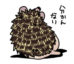 Expressive Hedgehog stickers. sticker #6123115