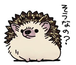 Expressive Hedgehog stickers. sticker #6123116