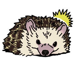 Expressive Hedgehog stickers. sticker #6123117