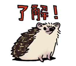 Expressive Hedgehog stickers. sticker #6123118
