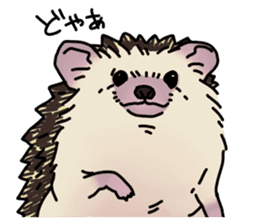 Expressive Hedgehog stickers. sticker #6123120
