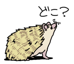 Expressive Hedgehog stickers. sticker #6123122
