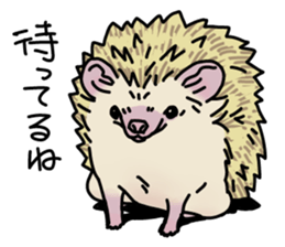 Expressive Hedgehog stickers. sticker #6123124