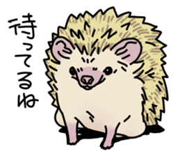 Expressive Hedgehog stickers. sticker #6123124