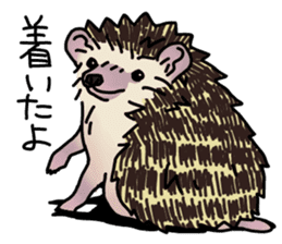 Expressive Hedgehog stickers. sticker #6123125