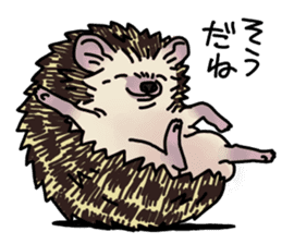 Expressive Hedgehog stickers. sticker #6123126