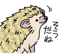 Expressive Hedgehog stickers. sticker #6123127