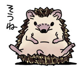 Expressive Hedgehog stickers. sticker #6123128