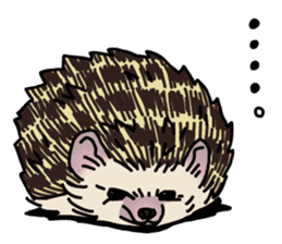 Expressive Hedgehog stickers. sticker #6123129