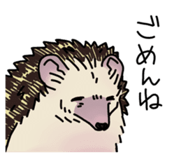 Expressive Hedgehog stickers. sticker #6123130