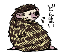 Expressive Hedgehog stickers. sticker #6123131