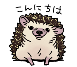 Expressive Hedgehog stickers. sticker #6123132