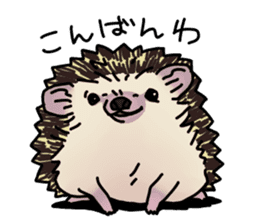 Expressive Hedgehog stickers. sticker #6123133