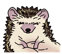 Expressive Hedgehog stickers. sticker #6123134