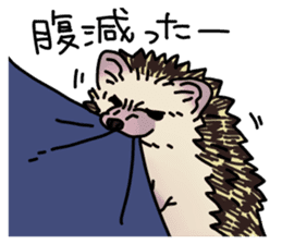Expressive Hedgehog stickers. sticker #6123135