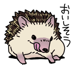 Expressive Hedgehog stickers. sticker #6123136